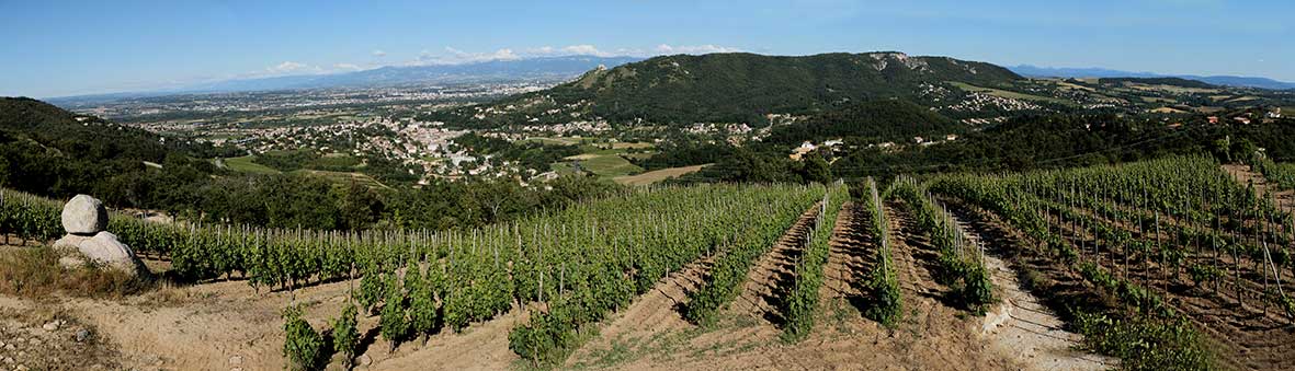 Panorama vigne crussol